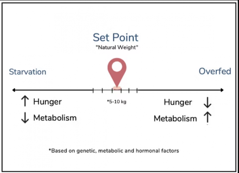 ทำไมผ่าตัดกระเพาะ กินน้อย แต่ไม่เกิดโยโย่